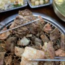 돼지천하 이미지