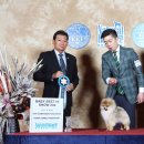 LOVELY POM 이미지