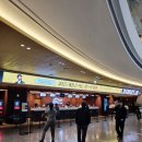 새봄맞이 음악회 | 요한 슈트라우스 2세 탄생 200주년 기념 음악회 '2025 새봄을 여는 왈츠의 향연' - 한경아르떼필하모닉...