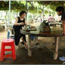 대저국수 이미지