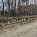 초이지아 이미지