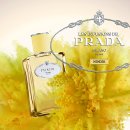 미모사패션 이미지