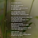인人은 대자연의 세포이다. 이미지