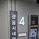 롯데시네마 센텀시티(제4관) | 롯데시네마 동성로 광음시네마(4관 리클라이너) 명당, 가격, 영화 페라리 관람 후기, 페라리 시그니처...