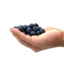 포바디짐 이미지