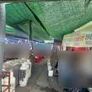 호남집 | 김포/사우 김포오일장 야장 숯불 등갈비 구이 전통시장 데이트 호남집 후기