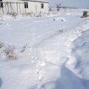 예당축사 이미지