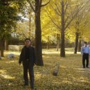 흥룡초등학교 이미지