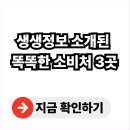 순환지구