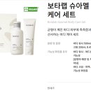 카이(kai)인셀덤