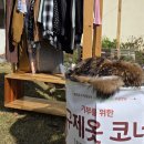 에코뮤진천