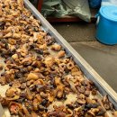 시장안주 이미지