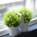 스테이로피 노서점 이미지