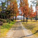 을미기공원 이미지