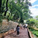 영산로 150 이미지