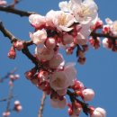 그대발길머무는곳에 이미지