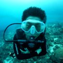 다이브11 이미지