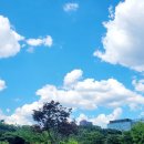 하늘종묘 이미지