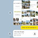 디디(DD)헤어살롱 | W44. 시드니 신혼여행 스냅 :: 레이지필름 (rayGfilm) 후기