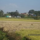 전대1리 이미지