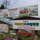 반고텐트랑 예솔권네 제천승마오토캠핑장♩