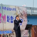 김천 조마면 벚꽃길 걷기 화합 한마당축제 이미지