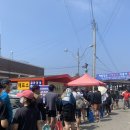 장호항 홍문어 이미지