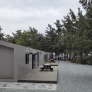 솔숲하우스 티스토리