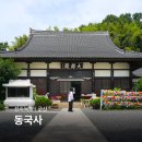팔마종합장식 | 군산 동국사 대웅전 주차 국내 유일 일본식 사찰