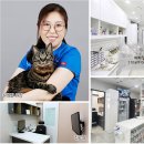 닥터캣 고양이병원 이미지