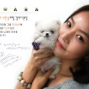 티아라노래클럽