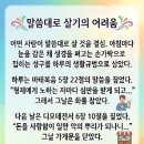 헤세드