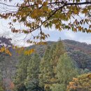 큰마당 오토캠핑장 이미지