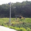 아4리_마을회관 이미지