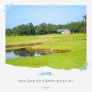 더봄컴퍼니 | 제주도 골프장 추천 더 클래식CC 봄 라운드 후기