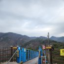 유알풀빌라 | 원주 여행 코스 | 원주 소금산 출렁다리 &amp; 유알스위트풀빌라 숙박 후기