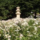 경주 동부 사적지 이미지