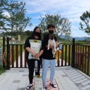 (주)펫월드 이미지