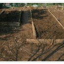 혁이네농장 이미지