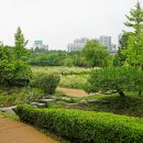 푸른수목원 이미지