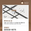 서울지혜로운치과의원 네이버블로그