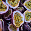 김경순농장 이미지