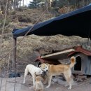 풍산농장 이미지