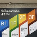 시립강북청소년센터 수영장 평일 자유수영 후기
