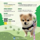 수원-0799 이미지