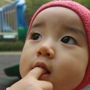 겸블리