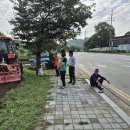 ▣바람숲길 및 새마을동산 제초작업 이미지