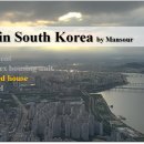 단독 dandog 이미지