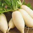 바디소울 이미지