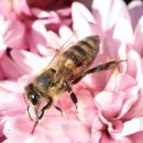 이창훈한의원 이미지